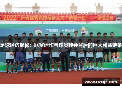 足球经济揭秘：联赛运作与球员转会背后的巨大利益链条